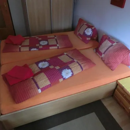 Gerhard Apartment Telfes im Stubai